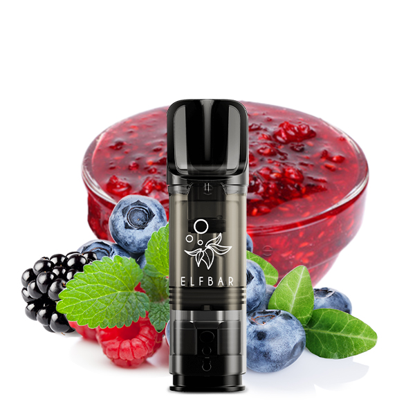 ELFBAR ELFA Blueberry Snoow 20mg Nikotin 2er Pack - End of Life